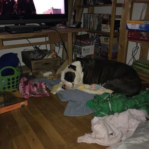 Meet your Posher, Jarrod